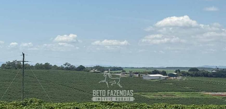 Fazenda à Venda de Café 640 Hectares Produção Industrial SUl de Minas | Região de Alfenas/ MG Fazenda à Venda de Café 640 Hectares Produção Industrial SUl de Minas | Região de Alfenas/ MG