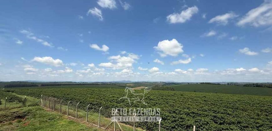 Fazenda à Venda de Café 640 Hectares Produção Industrial SUl de Minas | Região de Alfenas/ MG Fazenda à Venda de Café 640 Hectares Produção Industrial SUl de Minas | Região de Alfenas/ MG