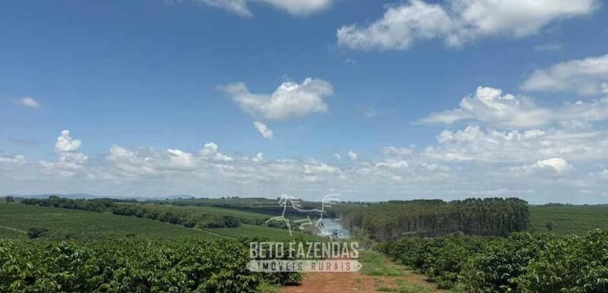 Fazenda à Venda de Café 640 Hectares Produção Industrial SUl de Minas | Região de Alfenas/ MG Fazenda à Venda de Café 640 Hectares Produção Industrial SUl de Minas | Região de Alfenas/ MG