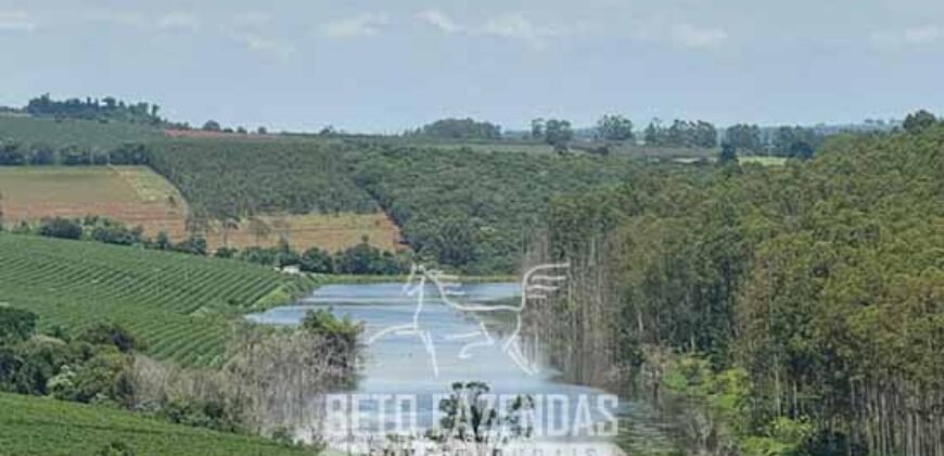 Fazenda à Venda de Café 640 Hectares Produção Industrial SUl de Minas | Região de Alfenas/ MG Fazenda à Venda de Café 640 Hectares Produção Industrial SUl de Minas | Região de Alfenas/ MG