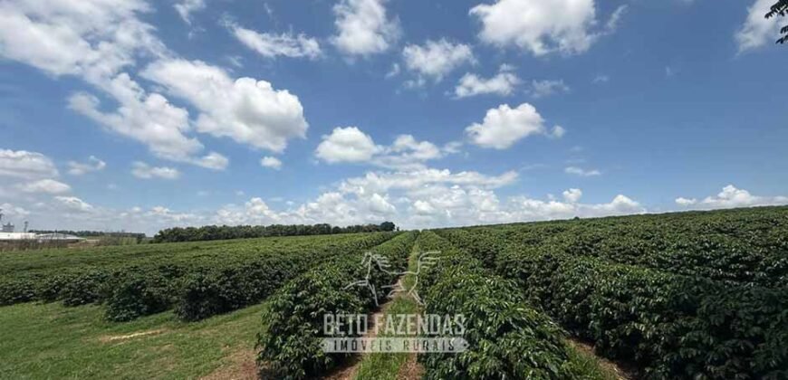 Fazenda à Venda de Café 640 Hectares Produção Industrial SUl de Minas | Região de Alfenas/ MG Fazenda à Venda de Café 640 Hectares Produção Industrial SUl de Minas | Região de Alfenas/ MG