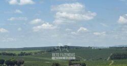 Fazenda à Venda de Café 640 Hectares Produção Industrial SUl de Minas | Região de Alfenas/ MG Fazenda à Venda de Café 640 Hectares Produção Industrial SUl de Minas | Região de Alfenas/ MG