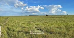 Fazenda à Venda 977 Hectares 90% Aproveitável Lavoura e Pecuária de Elite | Caiuá/SP