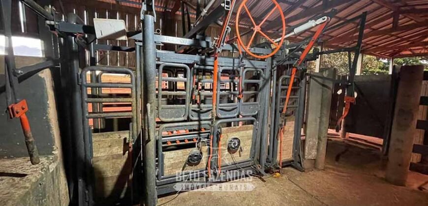 Fazenda à Venda 977 Hectares 90% Aproveitável Lavoura e Pecuária de Elite | Caiuá/SP