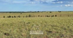 Fazenda à Venda 977 Hectares 90% Aproveitável Lavoura e Pecuária de Elite | Caiuá/SP