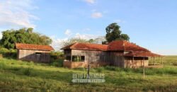 Fazenda à Venda 977 Hectares 90% Aproveitável Lavoura e Pecuária de Elite | Caiuá/SP