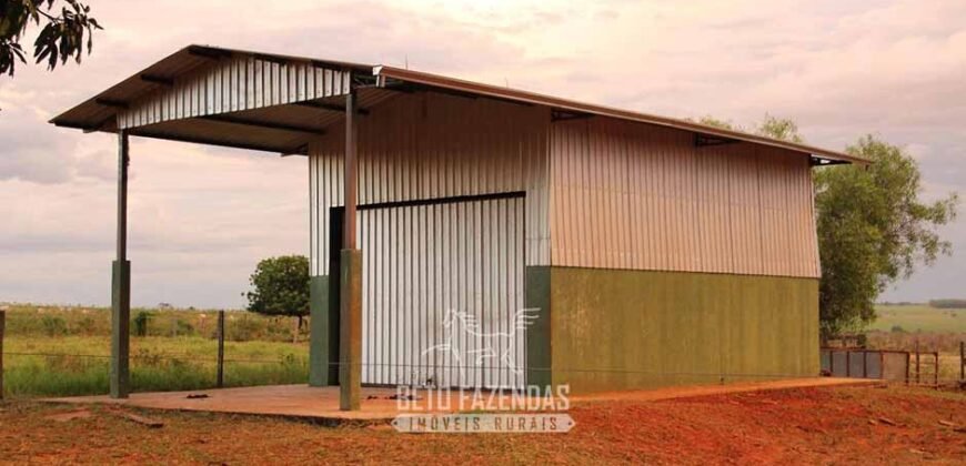 Fazenda à Venda 977 Hectares 90% Aproveitável Lavoura e Pecuária de Elite | Caiuá/SP