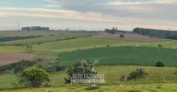 Fazendinha de Alta Eficiência 49 Alqueires Paulista | São Miguel Arcanjo/ SP