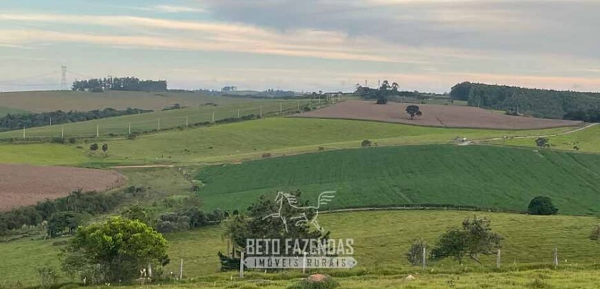 Fazendinha de Alta Eficiência 49 Alqueires Paulista | São Miguel Arcanjo/ SP