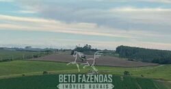 Fazendinha de Alta Eficiência 49 Alqueires Paulista | São Miguel Arcanjo/ SP