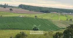 Fazendinha de Alta Eficiência 49 Alqueires Paulista | São Miguel Arcanjo/ SP