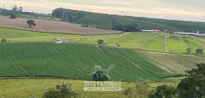 Fazendinha de Alta Eficiência 49 Alqueires Paulista | São Miguel Arcanjo/ SP