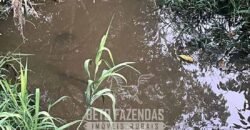 Fazendinha de Alta Eficiência 49 Alqueires Paulista | São Miguel Arcanjo/ SP