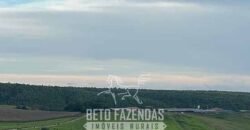 Fazendinha de Alta Eficiência 49 Alqueires Paulista | São Miguel Arcanjo/ SP