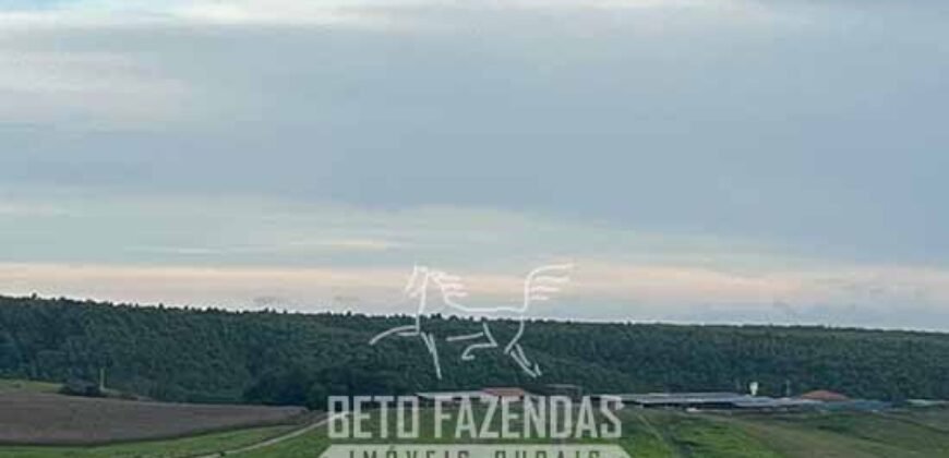 Fazendinha de Alta Eficiência 49 Alqueires Paulista | São Miguel Arcanjo/ SP