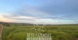 Fazendinha de Alta Eficiência 49 Alqueires Paulista | São Miguel Arcanjo/ SP