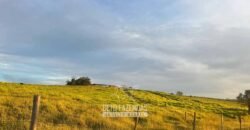 Fazendinha de Alta Eficiência 49 Alqueires Paulista | São Miguel Arcanjo/ SP