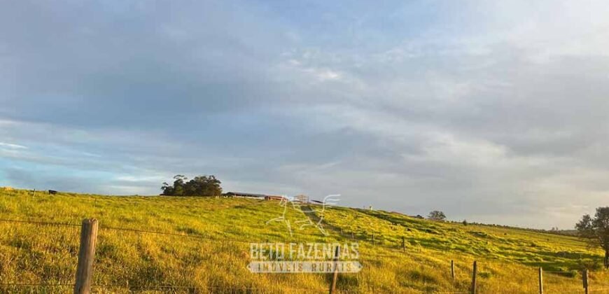 Fazendinha de Alta Eficiência 49 Alqueires Paulista | São Miguel Arcanjo/ SP