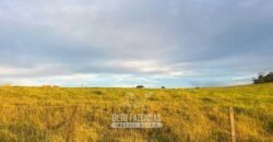 Fazendinha de Alta Eficiência 49 Alqueires Paulista | São Miguel Arcanjo/ SP