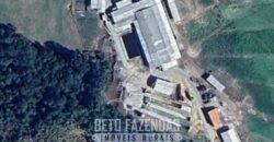 Fazendinha de Alta Eficiência 49 Alqueires Paulista | São Miguel Arcanjo/ SP