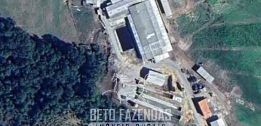 Fazendinha de Alta Eficiência 49 Alqueires Paulista | São Miguel Arcanjo/ SP