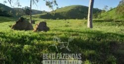 Fazenda à Venda 1.930 Hectares Potencial de Lavoura e Pecuária | Novo São Joaquim/ MT