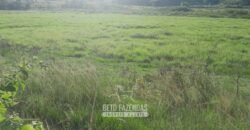 Fazenda à Venda 1.930 Hectares Potencial de Lavoura e Pecuária | Novo São Joaquim/ MT