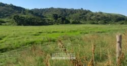 Fazenda à Venda 1.930 Hectares Potencial de Lavoura e Pecuária | Novo São Joaquim/ MT