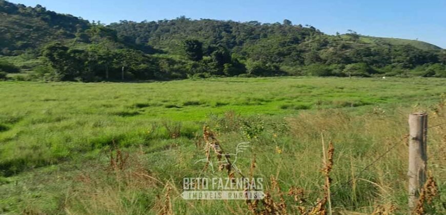 Fazenda à Venda 1.930 Hectares Potencial de Lavoura e Pecuária | Novo São Joaquim/ MT