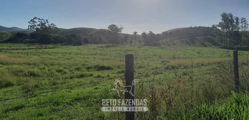 Fazenda à Venda 1.930 Hectares Potencial de Lavoura e Pecuária | Novo São Joaquim/ MT
