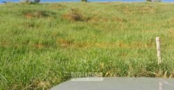 Fazenda à Venda 1.930 Hectares Potencial de Lavoura e Pecuária | Novo São Joaquim/ MT