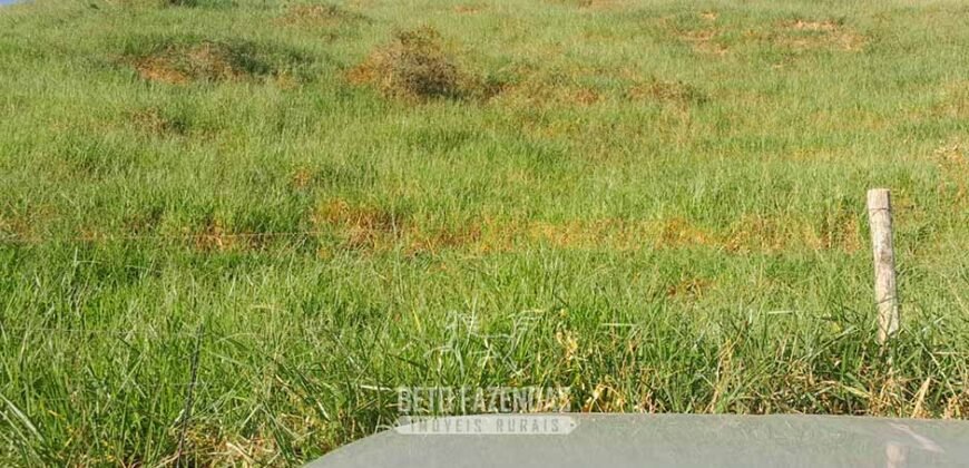 Fazenda à Venda 1.930 Hectares Potencial de Lavoura e Pecuária | Novo São Joaquim/ MT