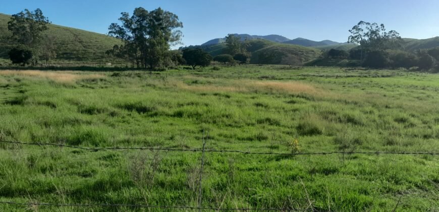 Fazenda à Venda 1.930 Hectares Potencial de Lavoura e Pecuária | Novo São Joaquim/ MT