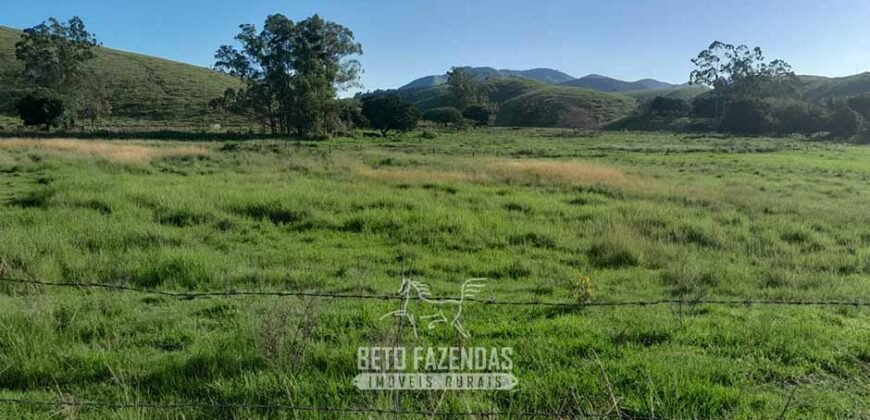 Fazenda à Venda 1.930 Hectares Potencial de Lavoura e Pecuária | Novo São Joaquim/ MT