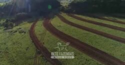 Fazenda Modelo à Venda 11.942 Hectares Liquidação Bancária na Pecuária | Sudoeste Goiano/ GO