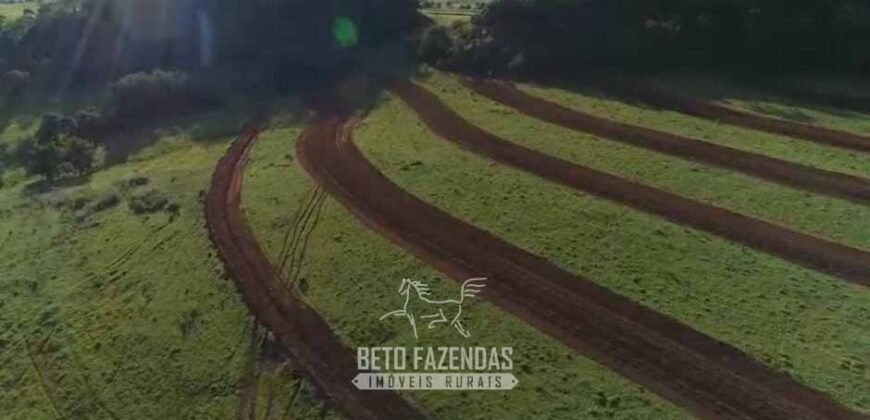 Fazenda Modelo à Venda 11.942 Hectares Liquidação Bancária na Pecuária | Sudoeste Goiano/ GO