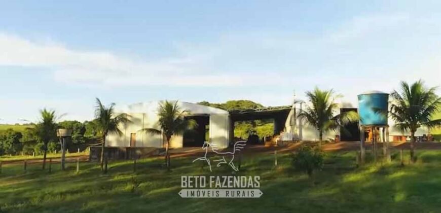 Fazenda Modelo à Venda 11.942 Hectares Liquidação Bancária na Pecuária | Sudoeste Goiano/ GO