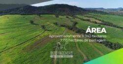 Fazenda Modelo à Venda 11.942 Hectares Liquidação Bancária na Pecuária | Sudoeste Goiano/ GO