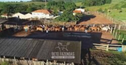 Fazenda Modelo à Venda 11.942 Hectares Liquidação Bancária na Pecuária | Sudoeste Goiano/ GO