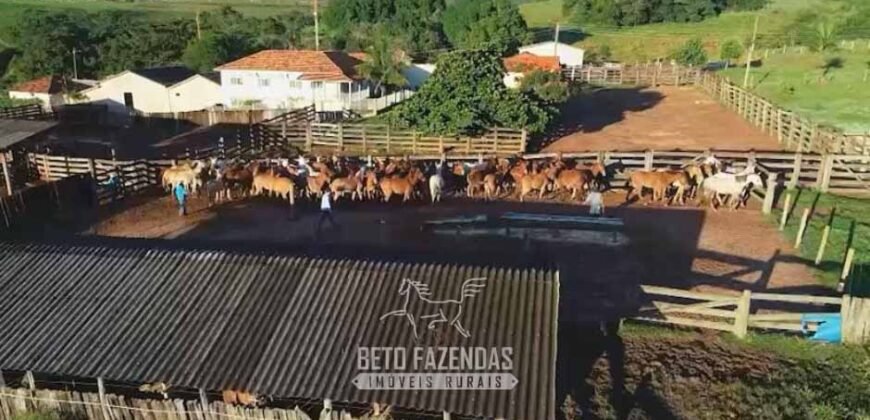Fazenda Modelo à Venda 11.942 Hectares Liquidação Bancária na Pecuária | Sudoeste Goiano/ GO