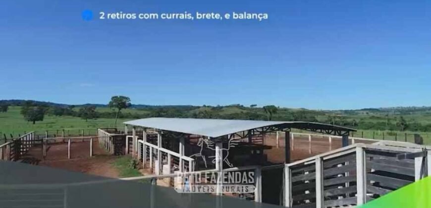 Fazenda Modelo à Venda 11.942 Hectares Liquidação Bancária na Pecuária | Sudoeste Goiano/ GO