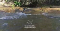 Fazenda Modelo à Venda 11.942 Hectares Liquidação Bancária na Pecuária | Sudoeste Goiano/ GO