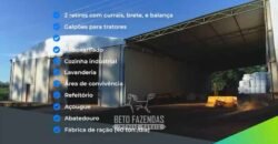 Fazenda Modelo à Venda 11.942 Hectares Liquidação Bancária na Pecuária | Sudoeste Goiano/ GO