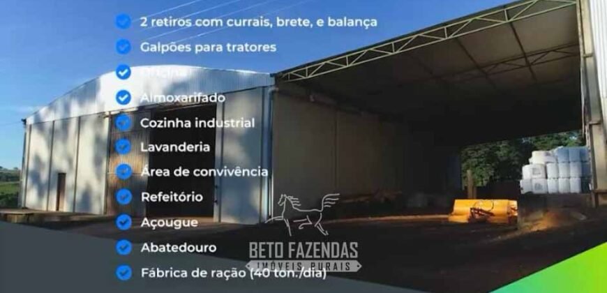 Fazenda Modelo à Venda 11.942 Hectares Liquidação Bancária na Pecuária | Sudoeste Goiano/ GO