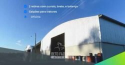 Fazenda Modelo à Venda 11.942 Hectares Liquidação Bancária na Pecuária | Sudoeste Goiano/ GO