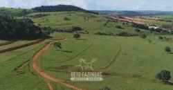 Fazenda Modelo à Venda 11.942 Hectares Liquidação Bancária na Pecuária | Sudoeste Goiano/ GO