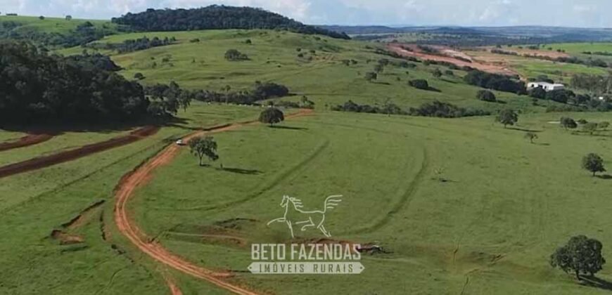 Fazenda Modelo à Venda 11.942 Hectares Liquidação Bancária na Pecuária | Sudoeste Goiano/ GO