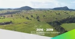 Fazenda Modelo à Venda 11.942 Hectares Liquidação Bancária na Pecuária | Sudoeste Goiano/ GO