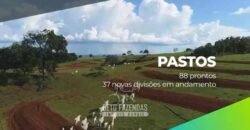 Fazenda Modelo à Venda 11.942 Hectares Liquidação Bancária na Pecuária | Sudoeste Goiano/ GO