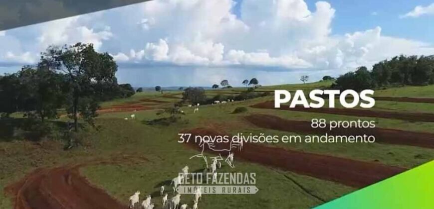 Fazenda Modelo à Venda 11.942 Hectares Liquidação Bancária na Pecuária | Sudoeste Goiano/ GO